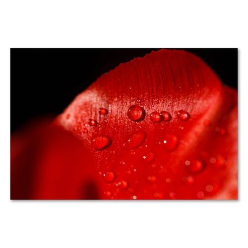 Postereck 3215 poster - postereck,