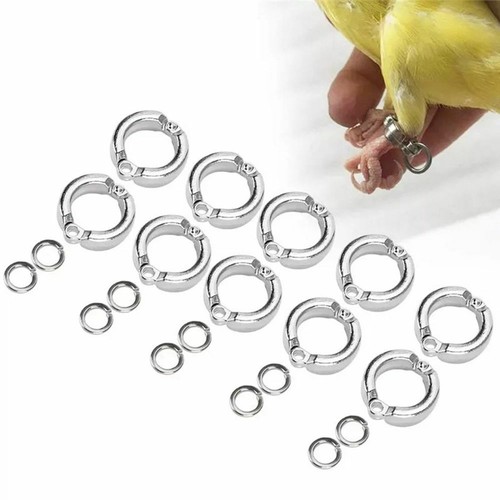 1pcs anello gamba - gamba, pappagallo