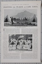 1901 Stampa Combattimento Plague Cape Town Ospedale Camp At Uitvlugt Lavoratori