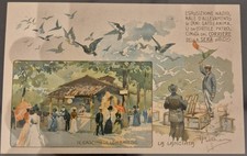 1900 - Esposizione allevamento