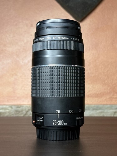 Obiettivo canon zoom lens - canon,