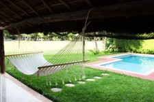 Amache Maya - Amaca americana