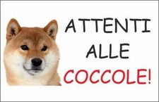 CARTELLO SEGNALETICO - SHIBA INU ATTENTI ALLE COCCOLE - segnale