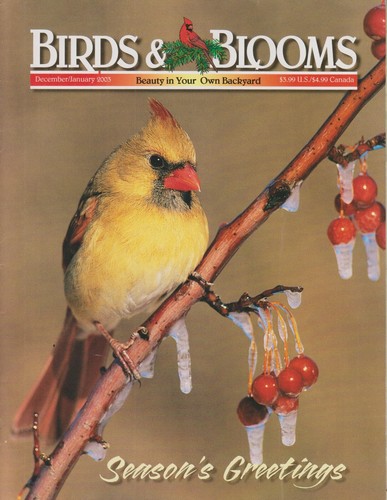Birds blooms - birds,