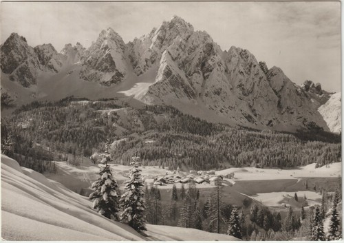 Cima sappada 1300 cadore - sappada,