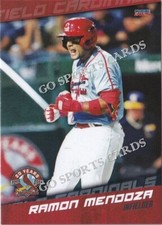 2024 Springfield Cardinals