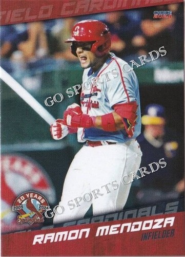2024 springfield cardinals - springfield,