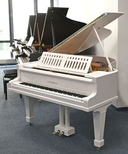 Ala forestale August, bianca