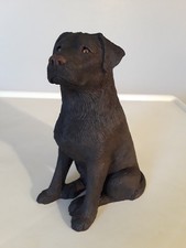 SANDICAST CHOCOLATE LAB