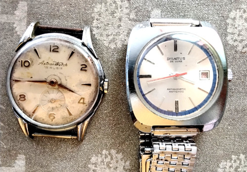 Vintage diantus luxe - diantus,