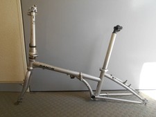 Bicicletta pieghevole DAHON