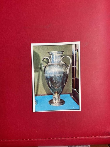 Figurina calciatori panini - figurina,