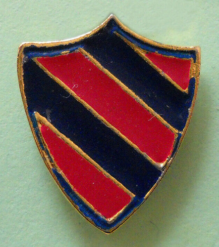 Distintivo spilla pin - pin, badge