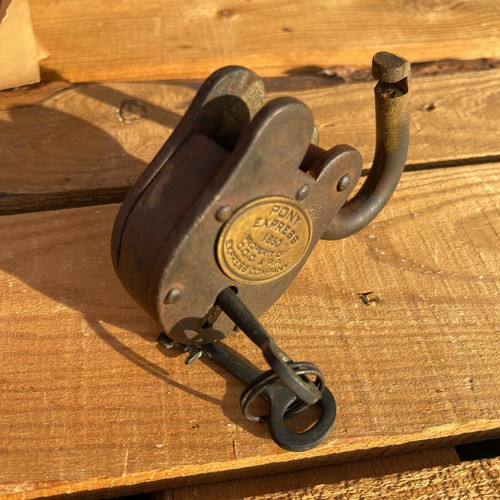 Pony express 1860 - pony, of