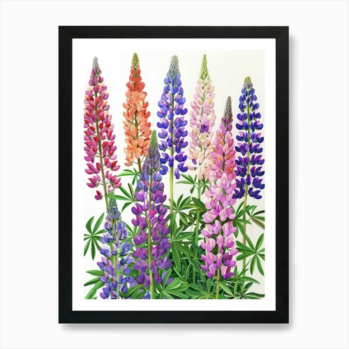 Lupini stampa artistica con - lupini,
