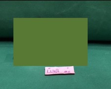 Thun Teddy Primavera 2025 Maxi