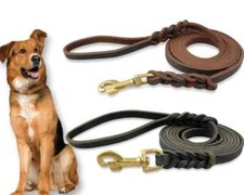 Guinzaglio per Cani in Vera