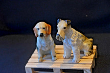 2 PORCELLANA CANE OSSO (osso)