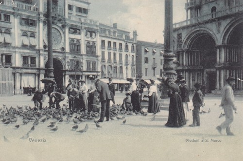 Cartolina venezia piccioni - cartolina, di