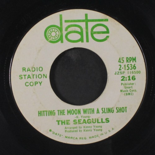 Seagulls don out - out, into