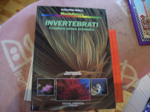 Libro invertebrati creature - libro,