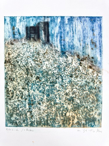 Grafica acquaforte paesaggio - acquaforte,