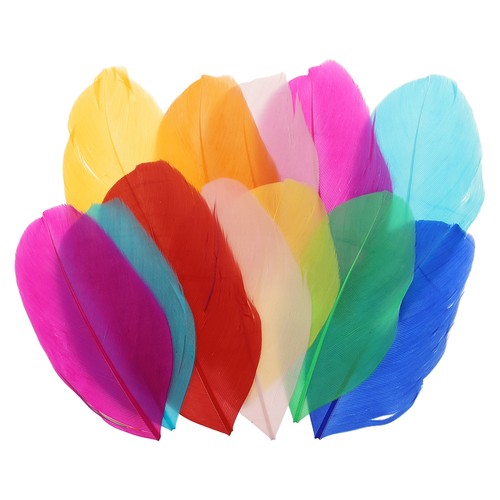 150 pcs piume oca 1 - 150, d'oca
