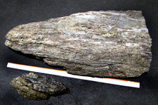 Lotto 2 pezzi di LEGNO FOSSILE peso totale Kg. 3,370  cm 32+6 x 17  Francia