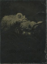 Carino Bambino Con Pelliccia