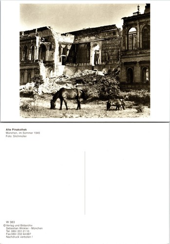 Cartolina continental alte - cartolina,
