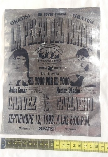 Poster julio cesar chavez - cesar, vs