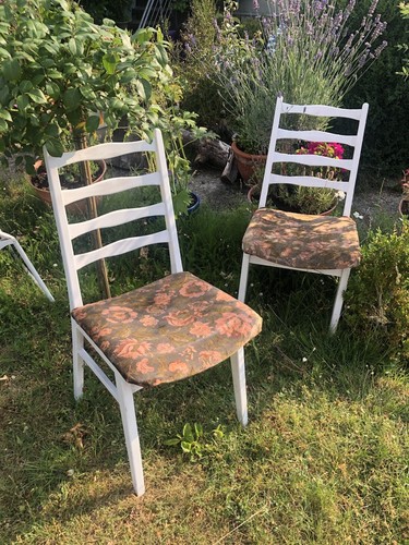 Coppia sedie eleganti - coppia, di