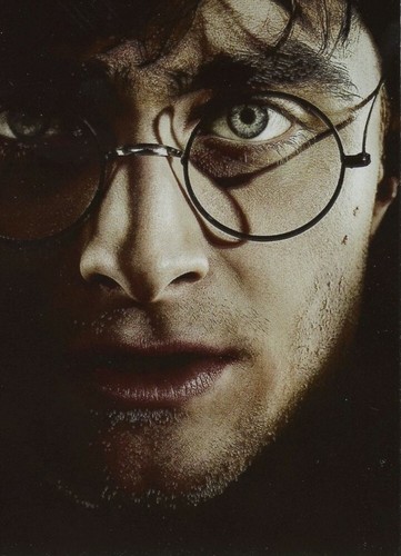 Panini harry potter - panini, saga
