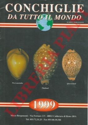 Conchiglie tutto mondo - conchiglie, da
