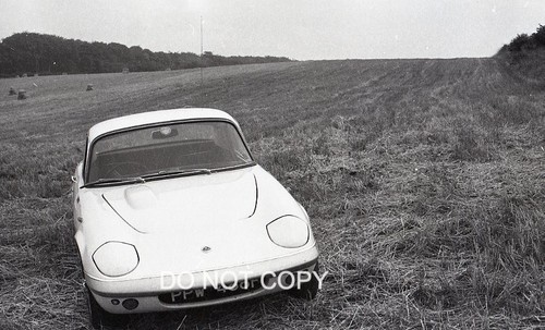 Fotografie negative lotus elan - lotus,