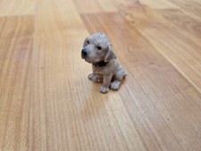 Sitting weimaraner puppy - 2",