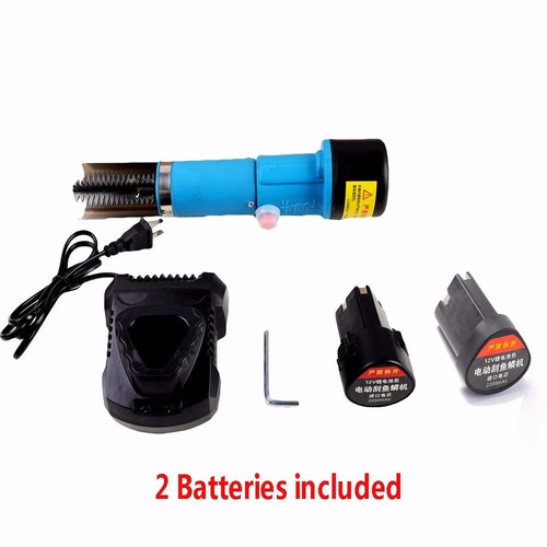 Set scaler pesci elettrico - scaler,