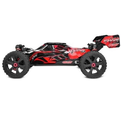 Team corally 00288 - c-00288-r, asuga