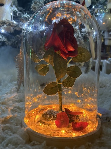 Rosa bella bestia - bella, la