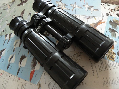Binocolo prisma tetto - binocolo,