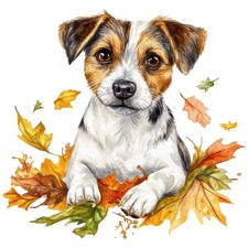 2 adesivi Jack Russell Terrier