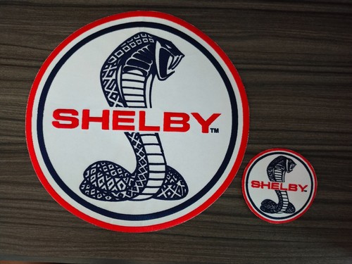 Patch taglia grande - , shelby