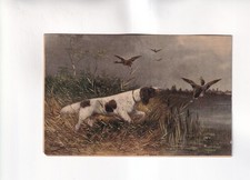 F7771) Cartolina, CACCIA -