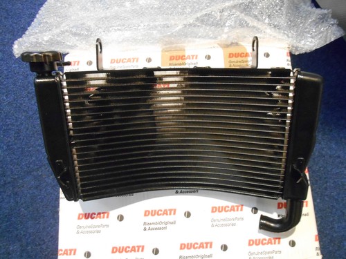 Radiatore acqua ducati - radiatore,