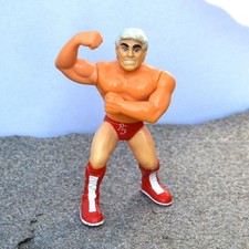 Hasbro WWF Wrestling