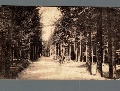 Firenze vallombrosa viale - firenze,