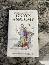 Gray's Anatomy Vintage