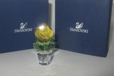 Statuina rosa gialla fiore