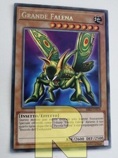 Grande Falena / Great Moth ®