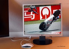 Monitor LG Flatron - 19